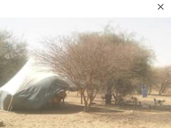 Trois enfants morts de soif, entre négligence parentale et abandon institutionnel