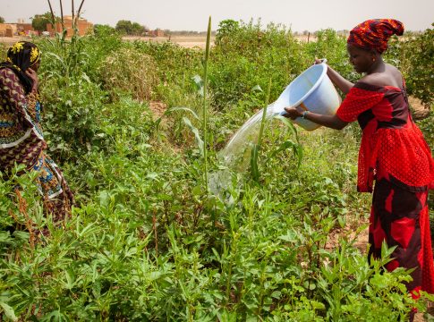 Mauritanie : Le ministère de l’Agriculture engage Smagec pour l’aménagement de périmètres maraîchers au profit des femmes de la vallée du fleuve Sénégal