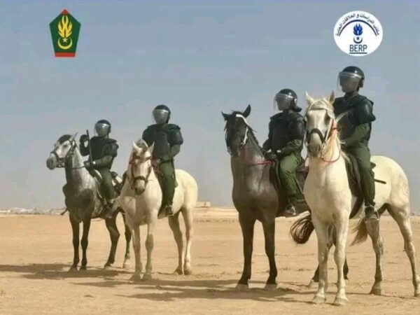 La Gendarmerie nationale lance sa première unité équestre