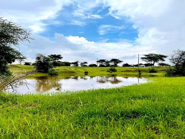 تسجيل تساقطات مطرية في ثلاث ولايات موريتانية