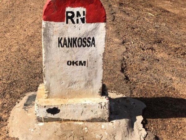 Pluie torrentielle à Kankossa : des moutons foudroyés et des dégâts matériels signalés