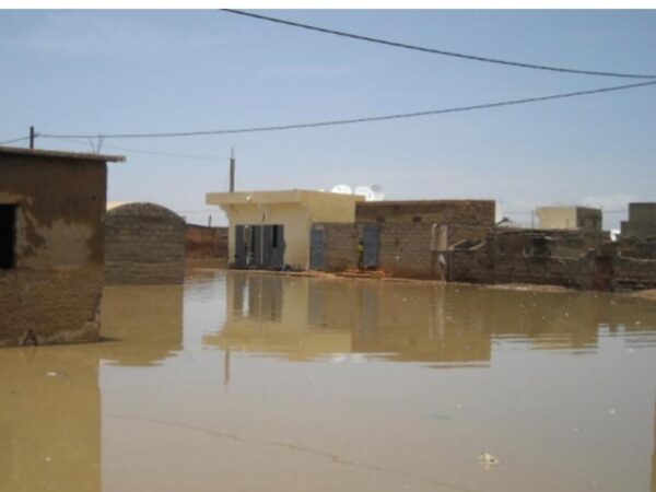 Météo : de fortes pluies attendues la semaine prochaine sur plusieurs un wilayas