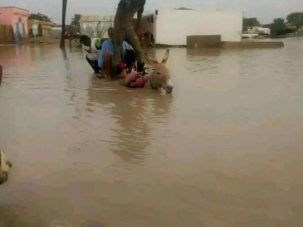 Dix morts enregistrés en dix jours, les autorités appellent à la vigilance