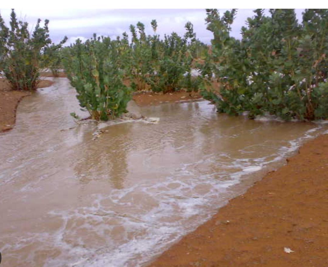 Des précipitations inégales et des prévisions encourageantes pour fin août