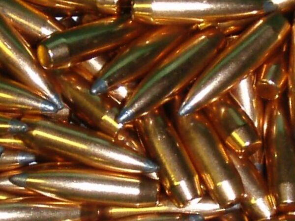 Vente illégale de munitions : des officiers logés confortablement, le magasinier incarcéré