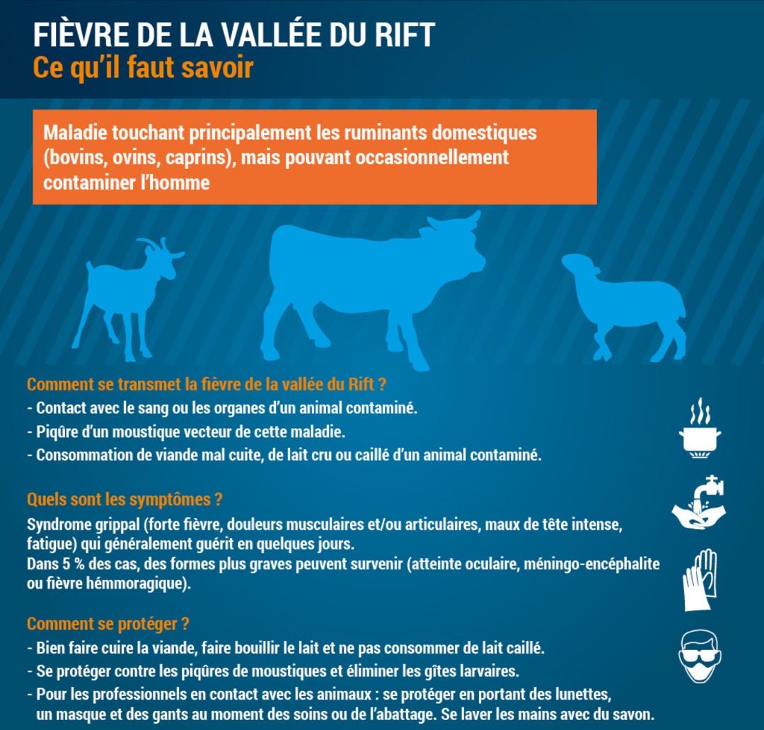 Renforcement des mesures sanitaires après deux décès liés à la fièvre de la Vallée du Rift