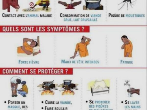 Fièvre de la Vallée du Rift au Sénégal : 21 cas confirmés, dont 7 décès