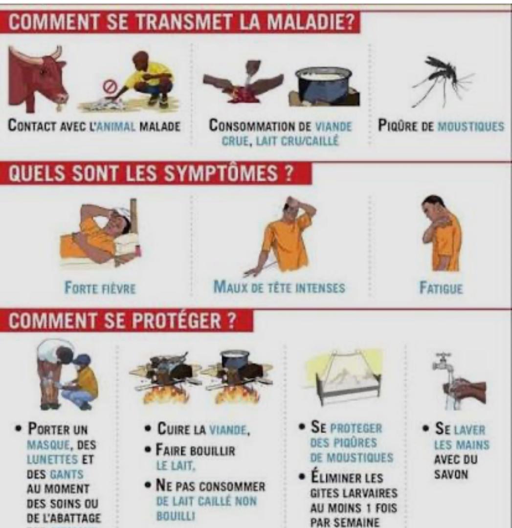 Fièvre de la Vallée du Rift au Sénégal : 21 cas confirmés, dont 7 décès