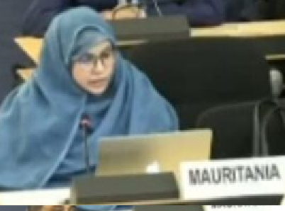خديجة حمادي العربي : الحديث عن وجود تمييز منهجي في موريتانيا لا يعكس الواقع