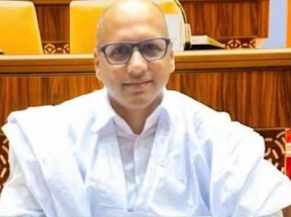 États-Unis : des arrestations soudaines au sein de la communauté mauritanienne suscitent l’inquiétude