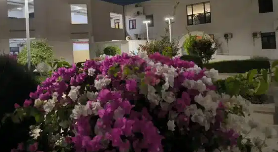 توضيح إعلامي من إدارة مستشفى الصداقة حول حالة طبية متداولة