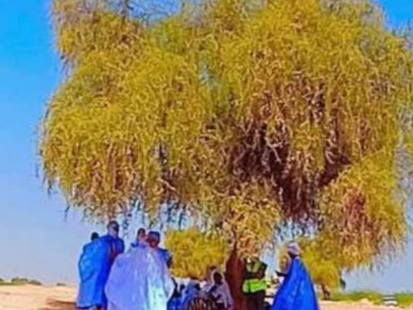 الفضفاضة والانحناء والترحيب، والنسيان الوطني