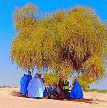 الفضفاضة والانحناء والترحيب، والنسيان الوطني