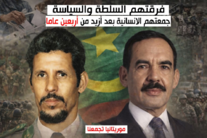 ومن باب الشيء بالشيء يُذكر… عبد القادر ولد.محمد.