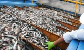 نواكشوط تسمح للسفن الجزائرية بالصيد في السواحل الموريتانية