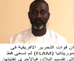 ان قوات التحرير الافريقية في موريتانيا (FLAM) لم تسعَي قط إلى تقسيم البلاد، فبالأحرى تفتيتها.